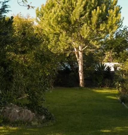 شقة Edles In Architektenvilla Mit Grossem Pool, Sauna, Dachterrasse Und Malerischem Garten