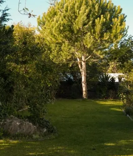 Apartament Edles In Architektenvilla Mit Grossem Pool, Sauna, Dachterrasse Und Malerischem Garten